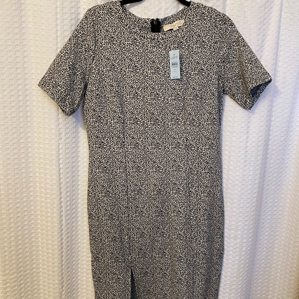 Loft dress! Size 10 Petite